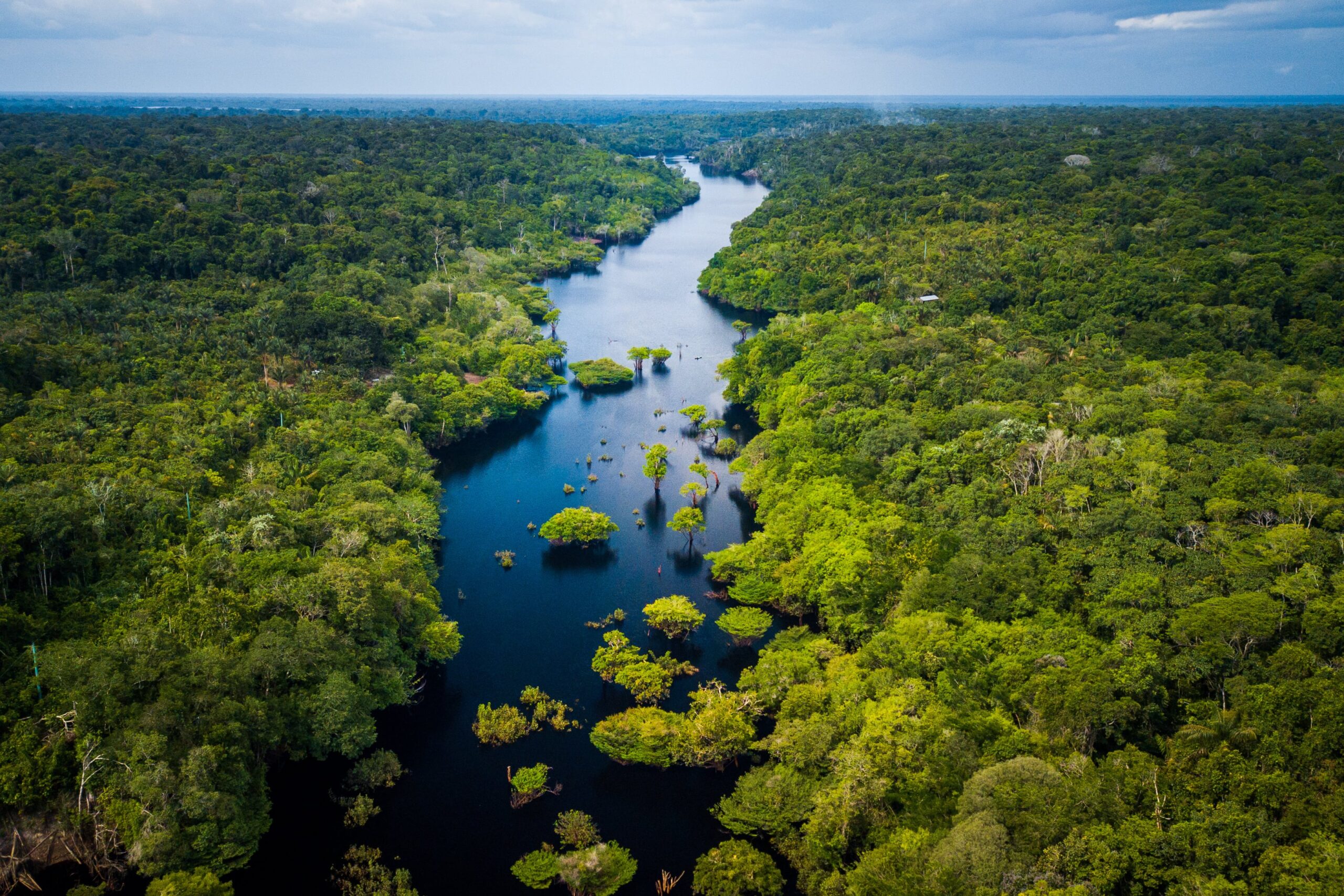 La Amazon A Tiene Voz En El Pnd Centro De Pensamiento Amazonias