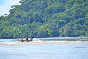 Salud y ciencias de la vida en la Amazonia