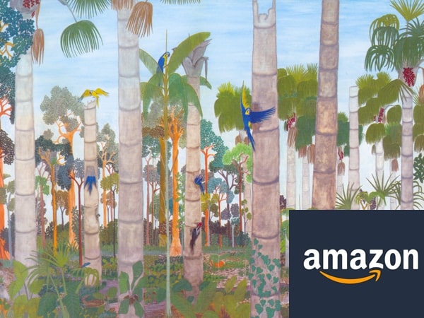 Amazon-amazonia