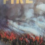 Reseña: Fire. A Brief History. [El fuego. Una breve historia] - Stephen J. Pyne.